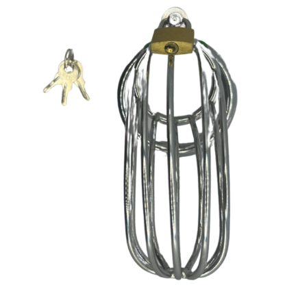 Grate penis cage with lock and cock ring