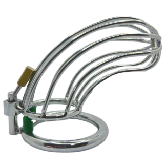 Grate penis cage with lock and cock ring