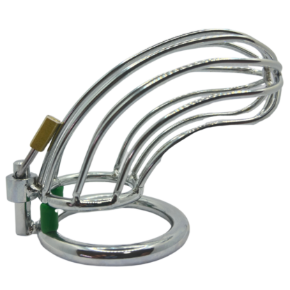 Grate penis cage with lock and cock ring