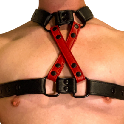 Black and red harness on male chest