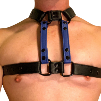 Black and Blue harness on male chest