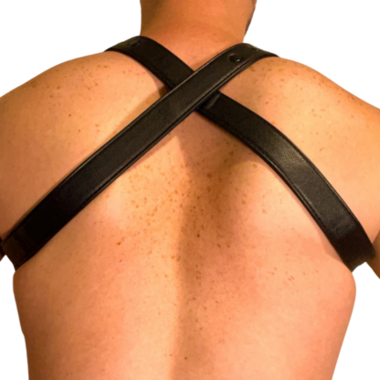 Harness image of back
