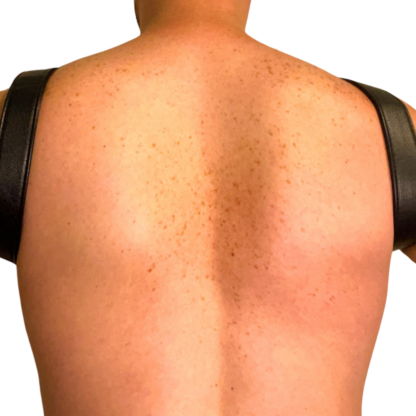 Harness image of back