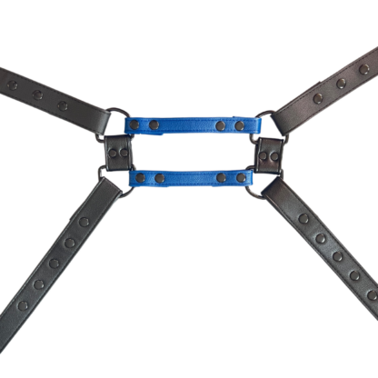 Black and blue harness on male chest