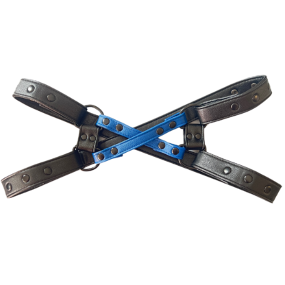 Black and blue harness on male chest