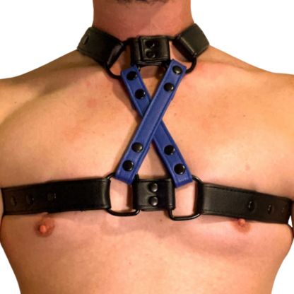 Black and blue harness on male chest