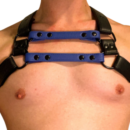 Black and Blue harness on male chest