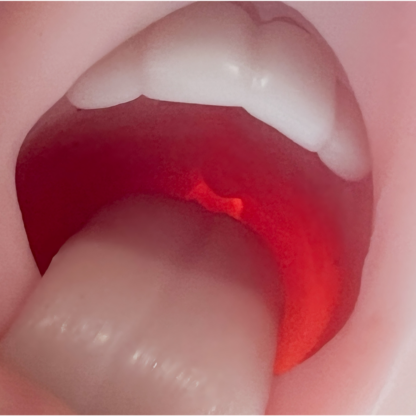 Silicone mouth replica sex toy